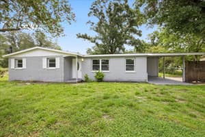 12801 CARLTON ROAD, THONOTOSASSA, FL 33592 - MLS#MFRW7877076