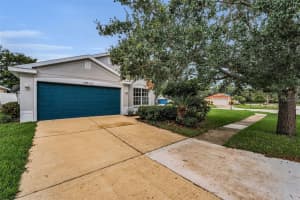 11619 Crest Creek Dr, RIVERVIEW