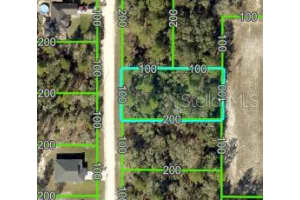 0 SNOWY OWL AVENUE, BROOKSVILLE, FL 34614 - MLS#MFRW7877167