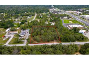 18933 OLD SHADY HILLS ROAD, SPRING HILL, FL 34610 - MLS#MFRW7877194