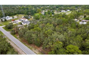 18933 OLD SHADY HILLS ROAD, SPRING HILL, FL 34610 - MLS#MFRW7877194