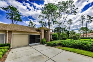9519 SCENIC PINE COURT, NEW PORT RICHEY, FL 34655 - MLS#MFRW7877206