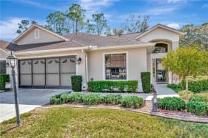 9626 Woodhollow Ct, NEW PORT RICHEY