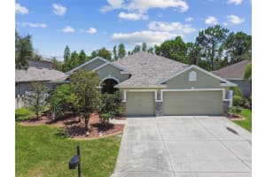 11126 Biddeford Pl, NEW PORT RICHEY