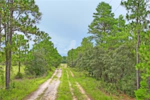 9423 TAMI PATH, DUNNELLON, FL 34433 - MLS#MFRW7877248
