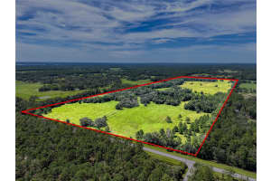 20089 AYERS ROAD, BROOKSVILLE, FL 34604 - MLS#MFRW7877261