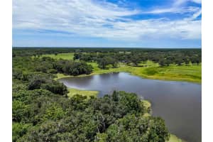 20089 AYERS ROAD, BROOKSVILLE, FL 34604 - MLS#MFRW7877261