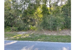 8217 NIGHTINGALE ROAD, WEEKI WACHEE, FL 34613 - MLS#MFRW7877267