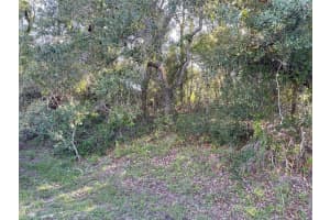 8217 NIGHTINGALE ROAD, WEEKI WACHEE, FL 34613 - MLS#MFRW7877267