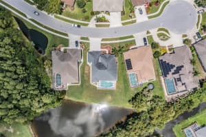 8426 ASHFORD PLACE, TRINITY, FL 34655 Sold 09/30/25