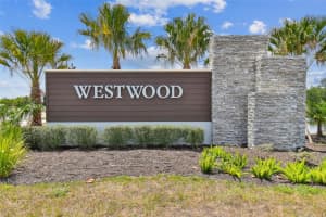17253 AMBER ASPEN WAY, LAND O LAKES, FL 34638 - MLS#MFRW7877358