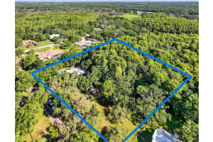 10319 CHIP LANE, NEW PORT RICHEY, FL 34654 - MLS#MFRW7877359