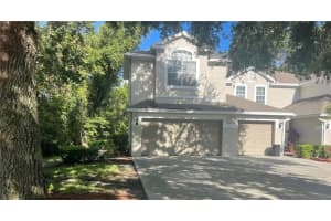 3567 Country Pointe Pl, PALM HARBOR