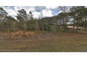 13176 Kildeer Rd Weeki Wachee, FL 34614 Sold 10/20/25