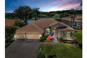 1132 Rambling Vine Ct, TRINITY