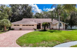 14101 Beechtree Ct, HUDSON