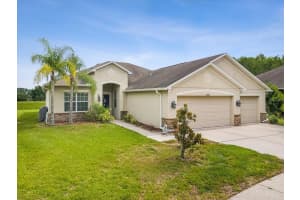 3883 TRISTRAM LOOP, LAND O LAKES, FL 34638 - MLS#MFRW7877471