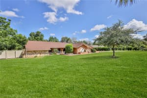 8217 CHAUCER DRIVE, WEEKI WACHEE, FL 34607 - MLS#MFRW7877476
