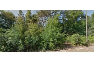 1952 BEACH PLUM DRIVE, CITRUS SPRINGS, FL 34434 Sold 08/22/25