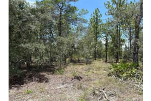 12179 SCARLET IBIS AVENUE, BROOKSVILLE, FL 34614 Sold 09/03/25