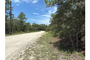 12179 SCARLET IBIS AVENUE, BROOKSVILLE, FL 34614 Sold 09/03/25