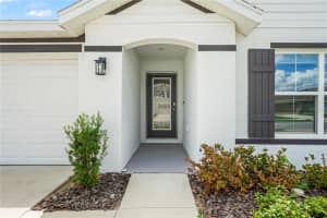 4041 AUTUMN AMBER, SPRING HILL, FL 34609 - MLS#MFRW7877519