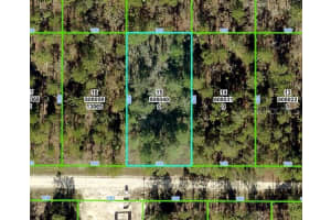 13075 TINAMOU AVENUE, WEEKI WACHEE, FL 34614 - MLS#MFRW7877524