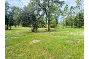 21830 66TH STREET, MORRISTON, FL 32668 - MLS#MFRW7877526