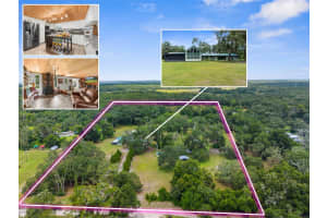 11094 51ST DRIVE, WEBSTER, FL 33597 - MLS#MFRW7877527