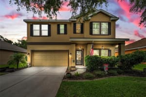 11015 Belle Haven Dr, NEW PORT RICHEY