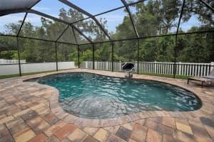 11015 BELLE HAVEN DRIVE, NEW PORT RICHEY, FL 34654 - MLS#MFRW7877538