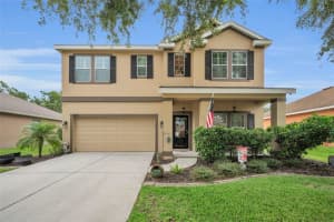 11015 BELLE HAVEN DRIVE, NEW PORT RICHEY, FL 34654 - MLS#MFRW7877538
