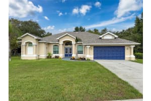 18933 BLACK GUM COURT, HUDSON, FL 34667 - MLS#MFRW7877581