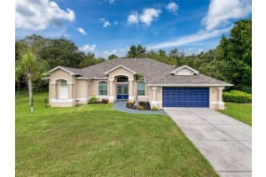 18933 BLACK GUM COURT, HUDSON, FL 34667 - MLS#MFRW7877581
