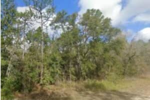 14059 RICEBIRD AVENUE, WEEKI WACHEE, FL 34614 - MLS#MFRW7877593