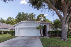 13319 Old Florida Cir, HUDSON
