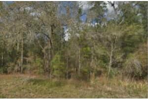 15389 SPRING HILL DRIVE, BROOKSVILLE, FL 34604 - MLS#MFRW7877622