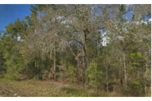 15389 SPRING HILL DRIVE, BROOKSVILLE, FL 34604 - MLS#MFRW7877622