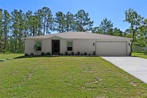 6987 N Dristol Pt, CITRUS SPRINGS
