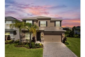 32620 Tamarind Grove Ln, WESLEY CHAPEL