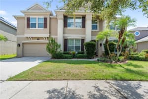 20013 Painting Nature Ln, TAMPA