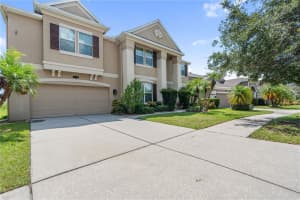 20013 PAINTING NATURE LANE, TAMPA, FL 33647 - MLS#MFRW7877700