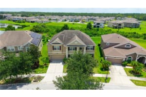 20013 PAINTING NATURE LANE, TAMPA, FL 33647 - MLS#MFRW7877700
