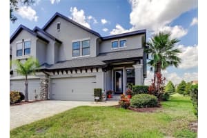 4703 Wandering Way, WESLEY CHAPEL