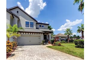 4703 WANDERING WAY, WESLEY CHAPEL, FL 33544 - MLS#MFRW7877723