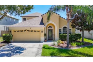 9528 Baton Rouge Ln, LAND O LAKES