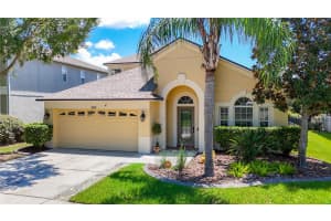 9528 BATON ROUGE LANE, LAND O LAKES, FL 34638 - MLS#MFRW7877740