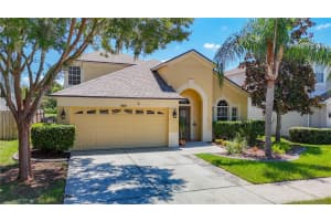 9528 BATON ROUGE LANE, LAND O LAKES, FL 34638 - MLS#MFRW7877740