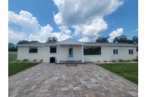 20855 LAKE PATIENCE ROAD, LAND O LAKES, FL 34638 - MLS#MFRW7877756