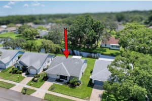 11534 PEAR TREE DRIVE, NEW PORT RICHEY, FL 34654 - MLS#MFRW7877766